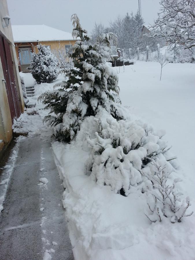 Boróka Vendégház Aggtelek Exterior foto